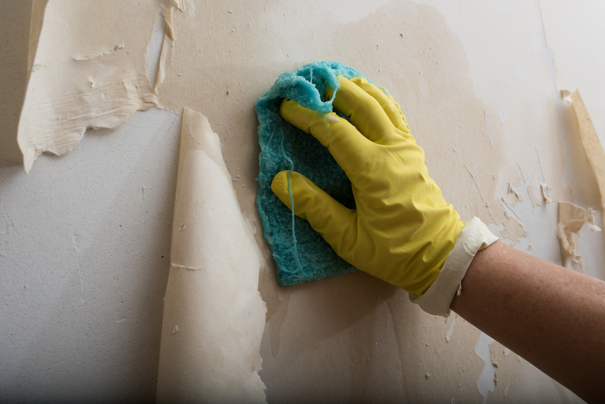 Preparing the wall for painting or sticking new wallpaper. Man in yellow gloves with a scraper in the process of removing old wallpaper. wetted with a special solution surface, yellow rag, rags.